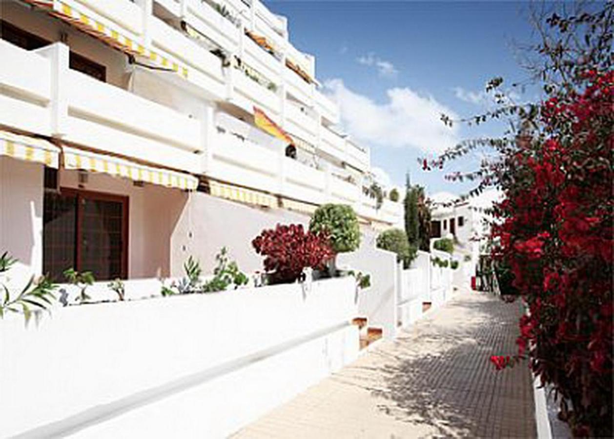 Nice Apartment On Las Americas Beach Плайя-де-лас-Амерікас Екстер'єр фото